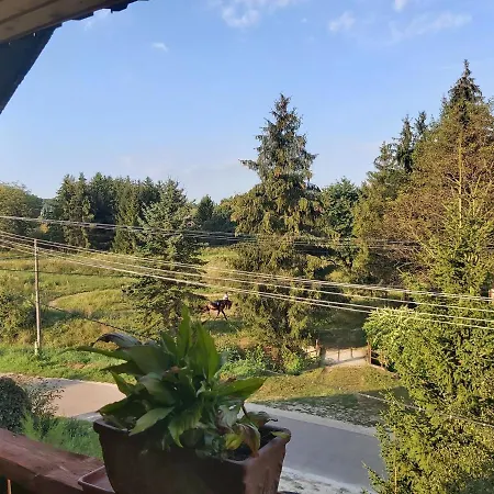 Fenyofa Vendeghaz Πανσιόν