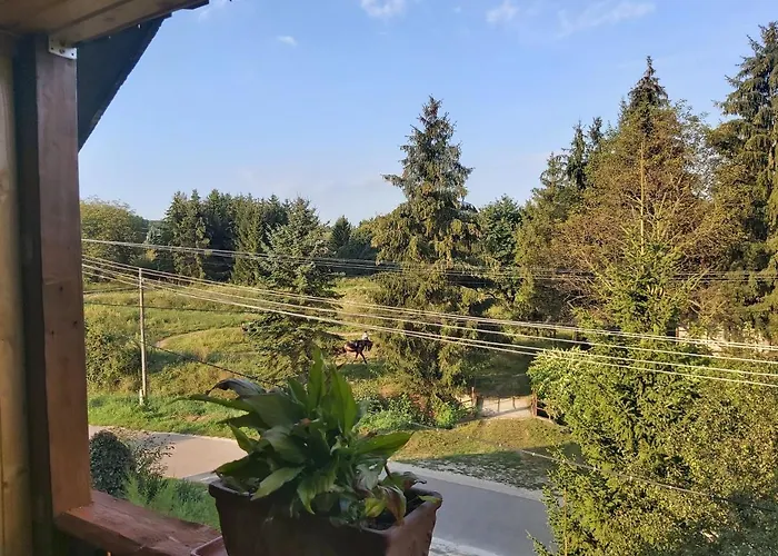 Fenyofa Vendeghaz Penzion